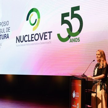 Galeria 6 5