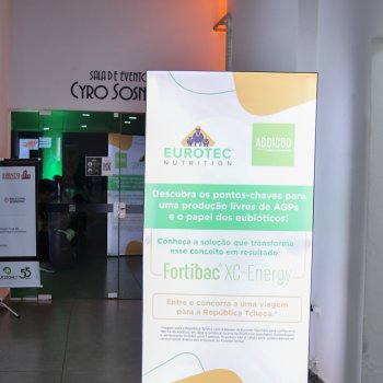 Galeria 4 1