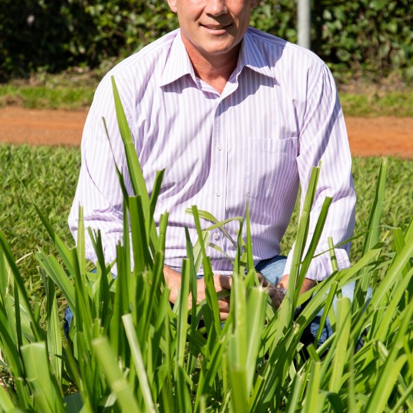 Manejo de pastagens para otimizar a produ��o de leite...