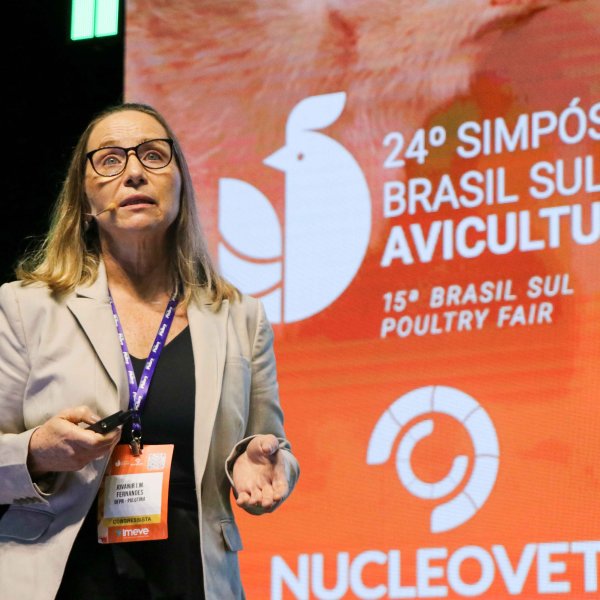 Especialistas discutem manejo da cama e problemas locomotores