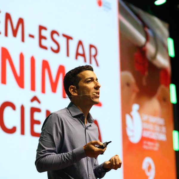 Bem-estar animal e biosseguridade encerram debates do 24� SBSA