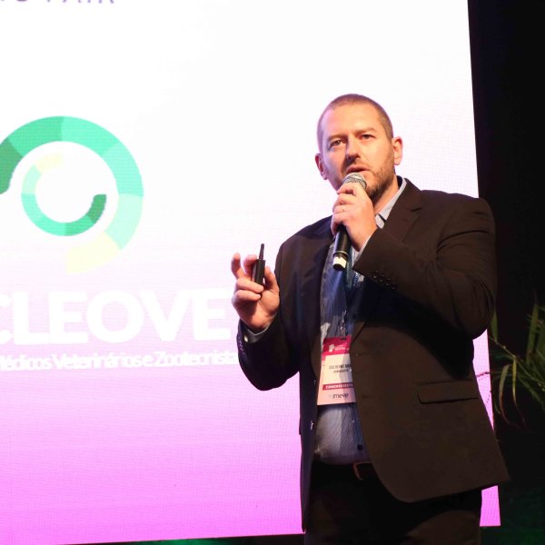 Especialistas debatem o custo da sanidade na suinocultura brasileira