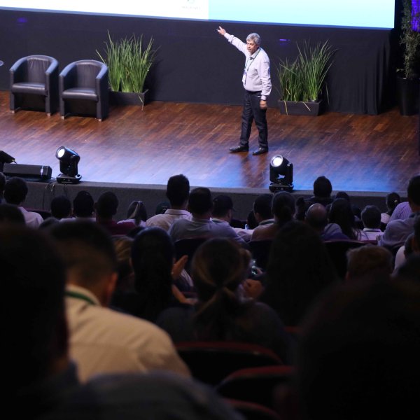 A saúde emocional e o comportamento dos bovinos com...