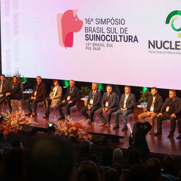 Simp�sio Brasil Sul de Suinocultura inicia nesta ter�a-feira...