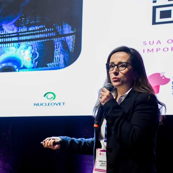 Hiperprolificidade: gen&eacute;tica e manejo unem for&ccedil;as para...