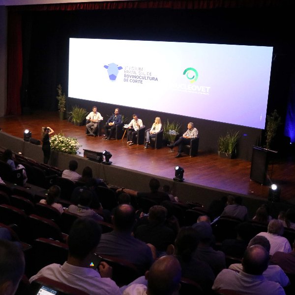 4º Fórum Brasil Sul de Bovinocultura de Corte promove...