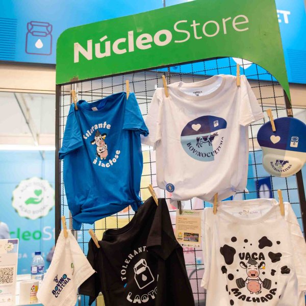 SBSBL reforça compromisso social com doação à APAE Chapecó