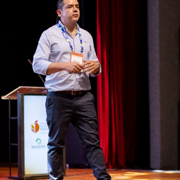 26� SBSA Microestrutura da ra��o e minerais definem...