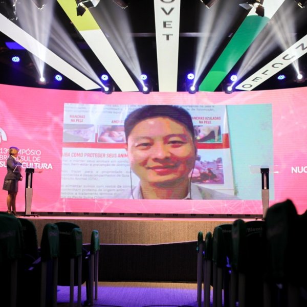 Brasil quer demonstrar que � livre de PSC para ampliar...