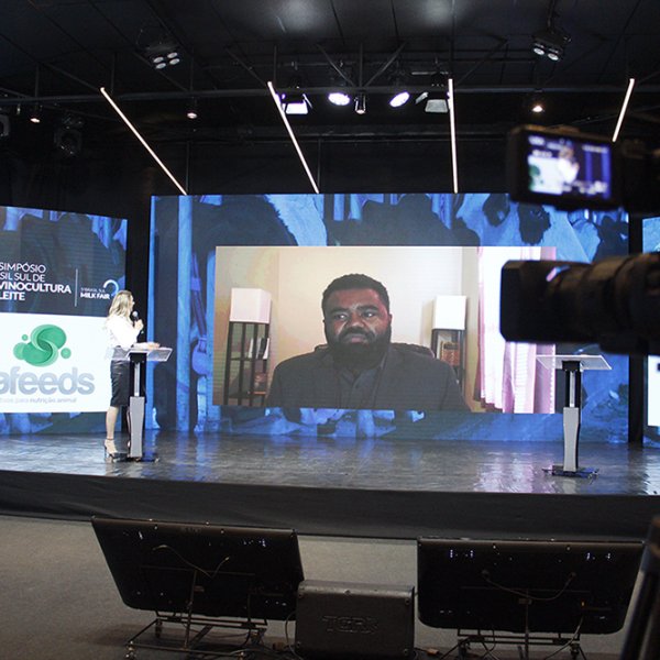 10º SBSBL debate o impacto financeiro na criação de novilhas 