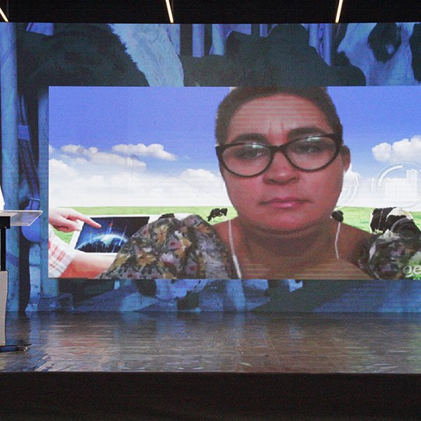 Cuidados com o manejo são essenciais para melhorar resistência das bezerras