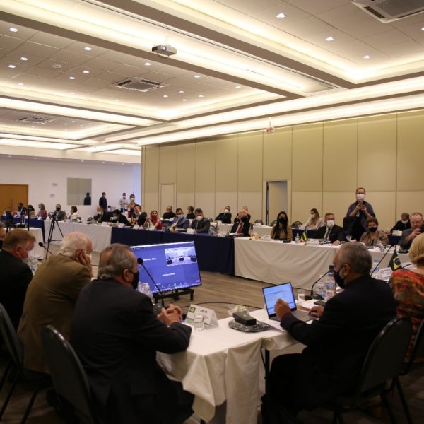 Nucleovet participa de reunião da Câmara de Presidentes...