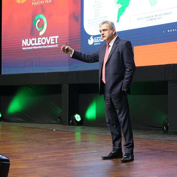 Avicultura brasileira tem potencial para avan�ar no mercado internacional