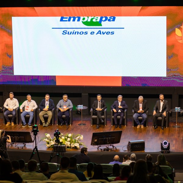 Perspectivas do mercado de prote�nas a curto e longo...