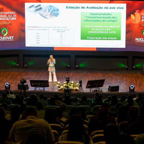 Controle de Salmonella e efici�ncia no processo produtivo de frangos