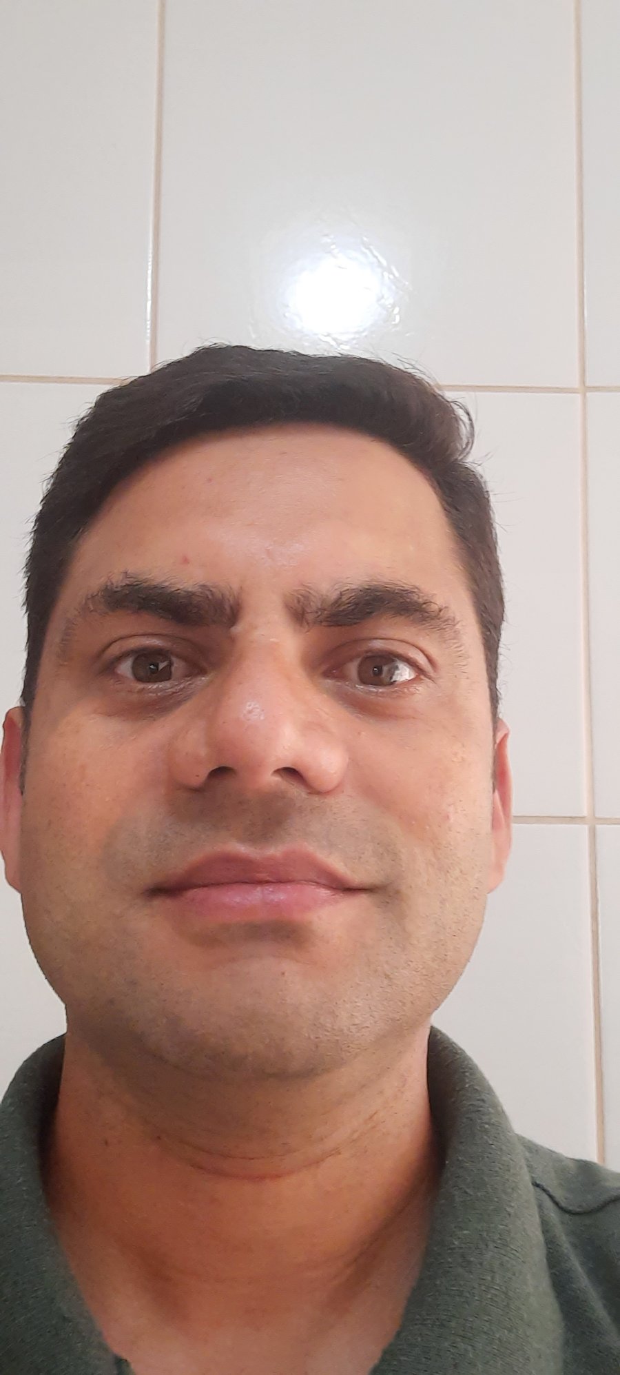 15&ordm; SBSS abordar&aacute; fundamentos t&eacute;cnicos para desempenho animal nas fases de termina&ccedil;&atilde;o