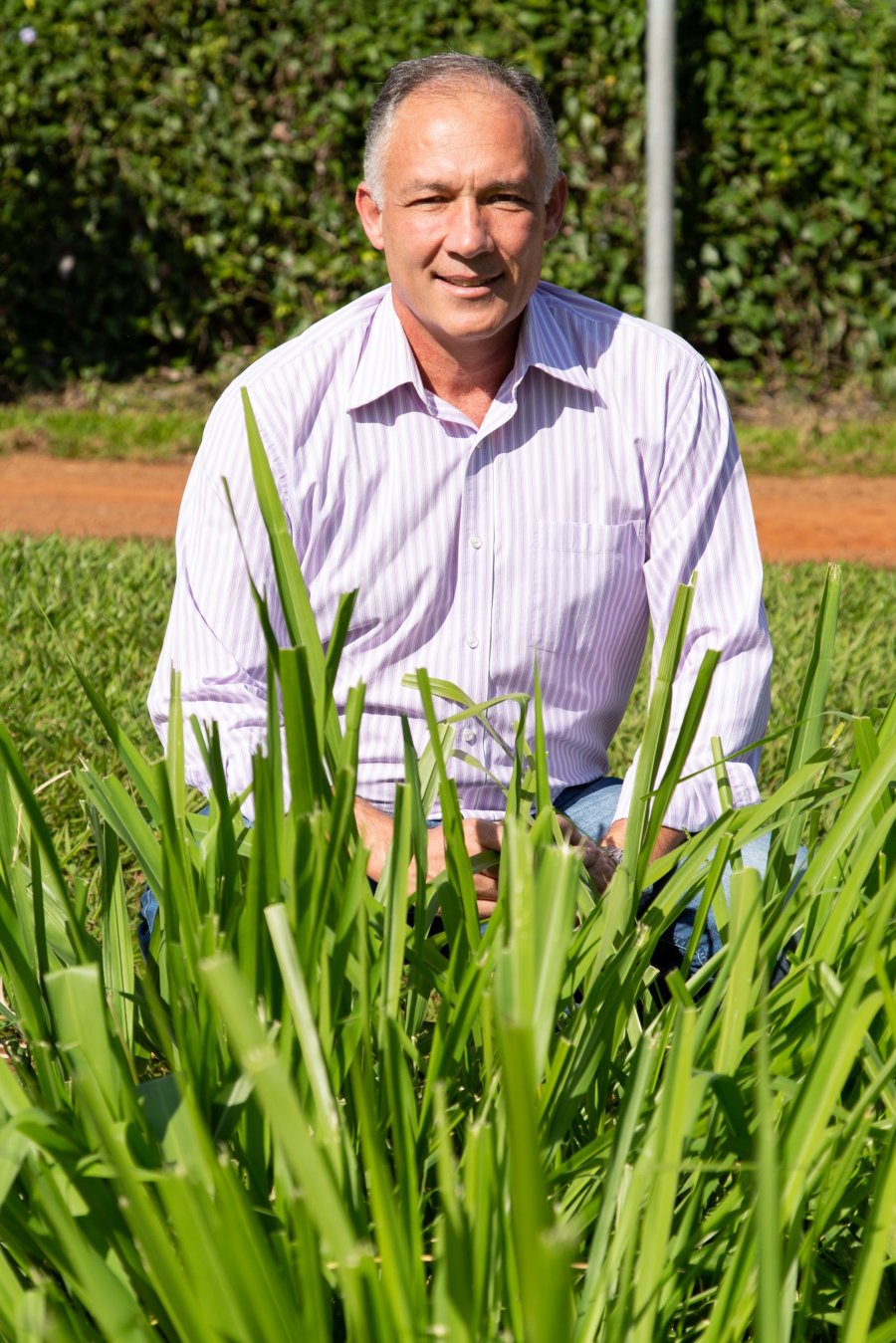 Manejo de pastagens para otimizar a produ&ccedil;&atilde;o de leite &agrave; base de pasto em destaque no 12&ordm; SBSBL