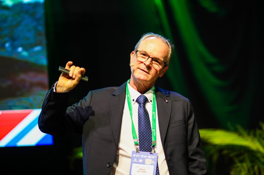 Especialistas abordam impacto das micotoxinas e colostragem de bezerras