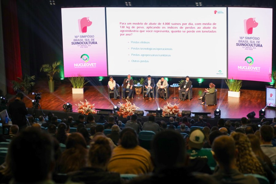 Ind&uacute;strias suin&iacute;colas debatem perdas no abate pela primeira vez