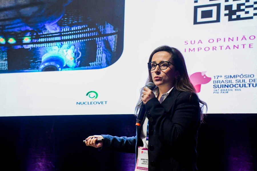 Hiperprolificidade: gen&eacute;tica e manejo unem for&ccedil;as para maximizar o potencial no campo