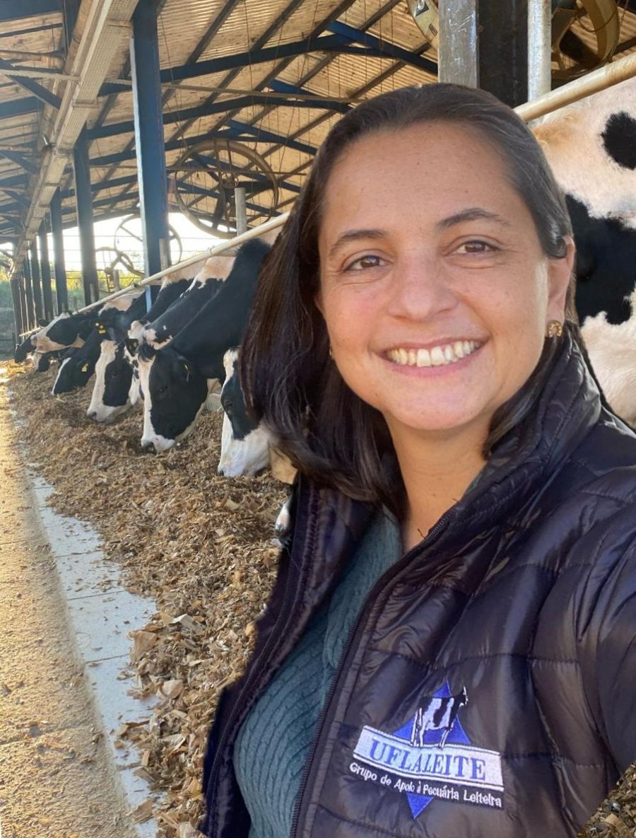 O caminho da proteína até a produção de leite