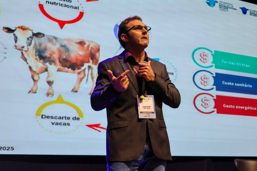 Especialistas apresentam estratégias para um rebanho saudável e produtivo