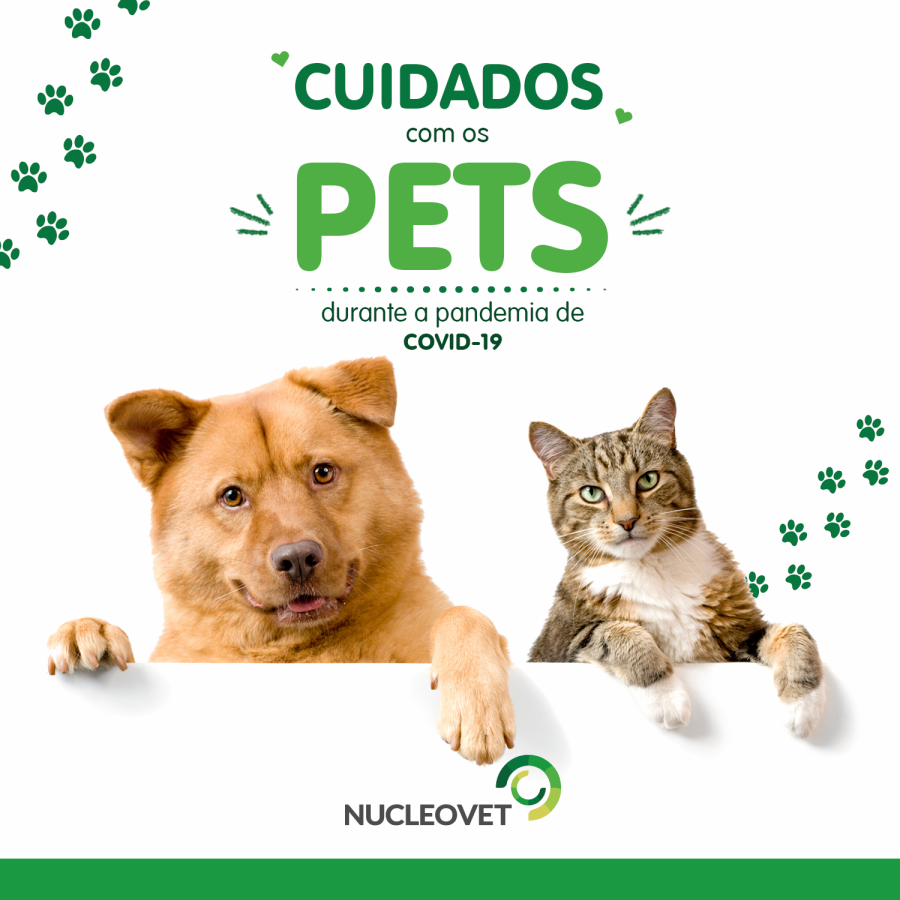 M&eacute;dicos Veterin&aacute;rios alertam para os cuidados com os PETS durante a pandemia de COVID 19