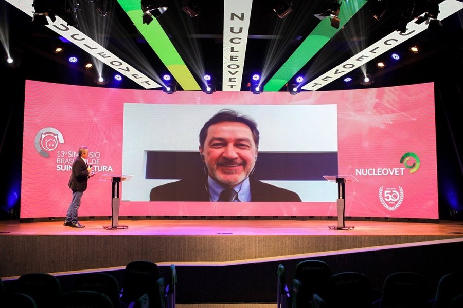 Pr&aacute;ticas para o gerenciamento e controle de micotoxinas na suinocultura