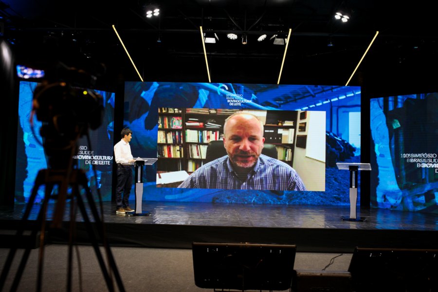 Estresse calórico impacta na produtividade e na saúde das vacas leiteiras