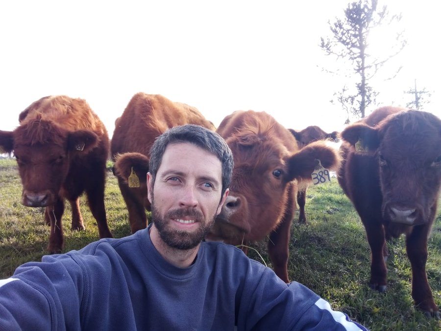 1&ordm; F&oacute;rum Brasil Sul de Bovinocultura de Corte debate pecu&aacute;ria catarinense.