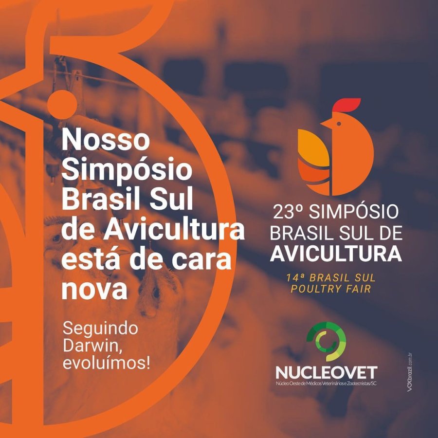 O SBSA est&aacute; de cara nova