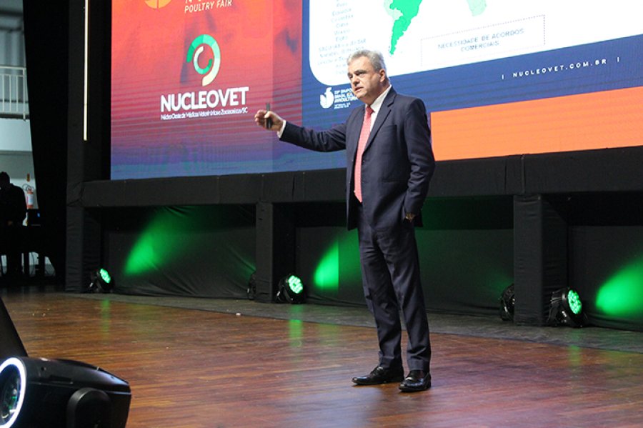 Avicultura brasileira tem potencial para avan&ccedil;ar no mercado internacional