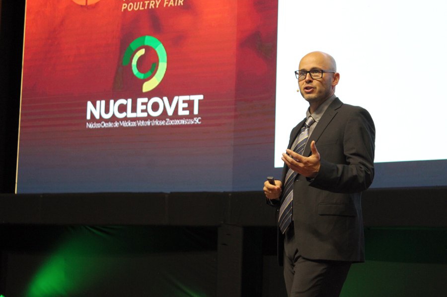 Estrat&eacute;gias de nutri&ccedil;&atilde;o contribuem para sanidade e produtividade na avicultura