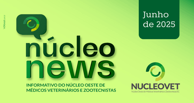 Informativo junho