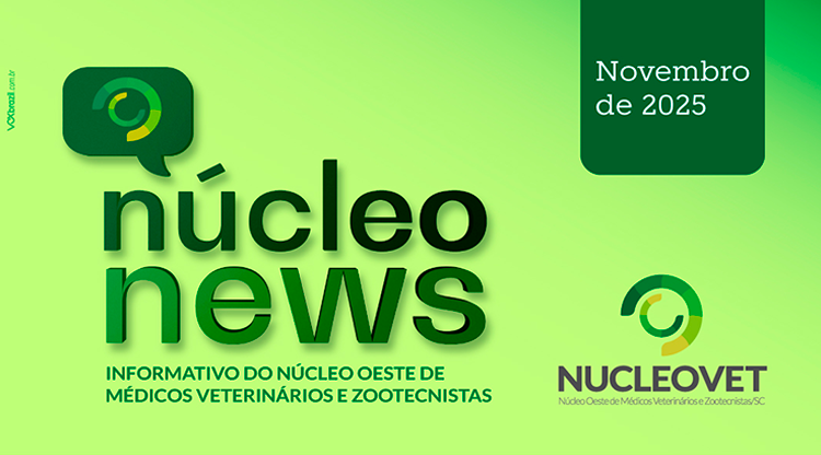 Informativo novembro