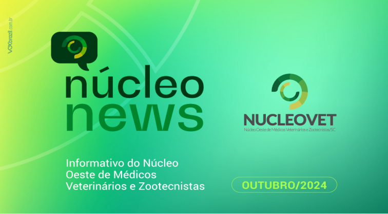 Informativo outubro/2024