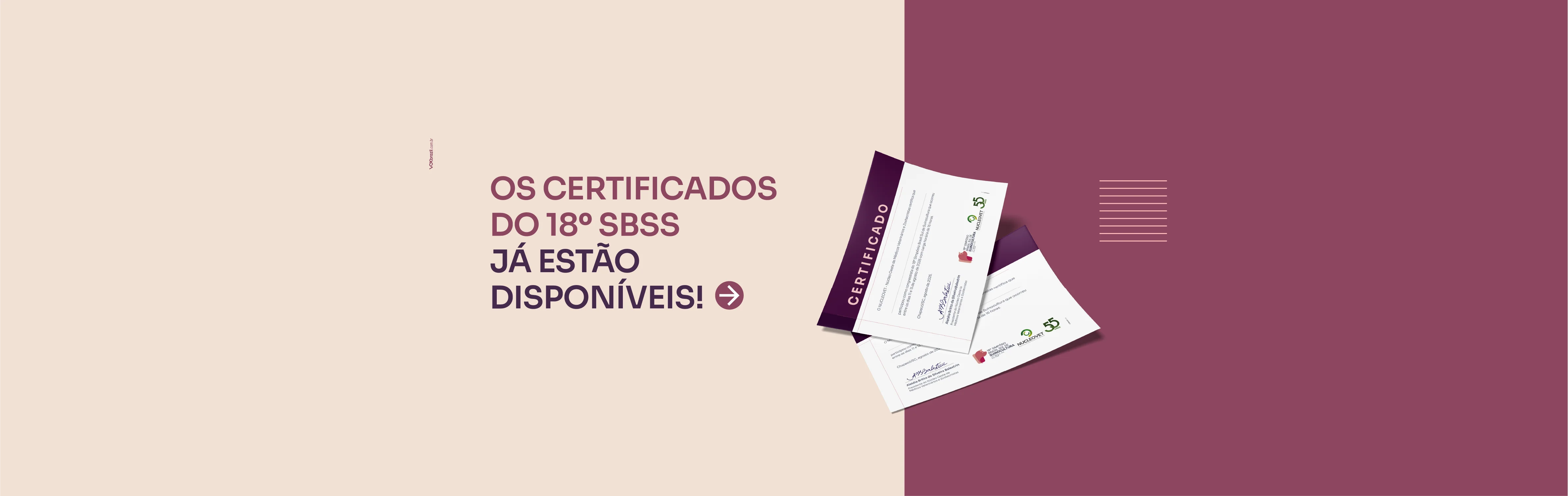 Os certificados do 18º SBSS já estão disponíveis!