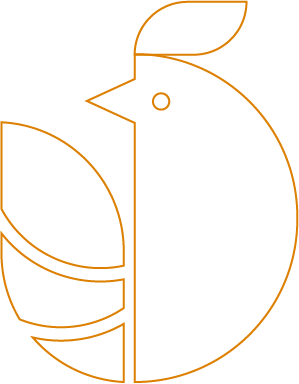 Fundo Bloco Newsletter